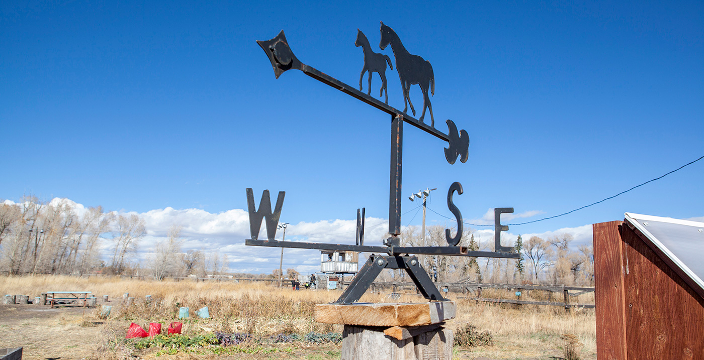 weather vane in foreground, Colorado rural landscape in background